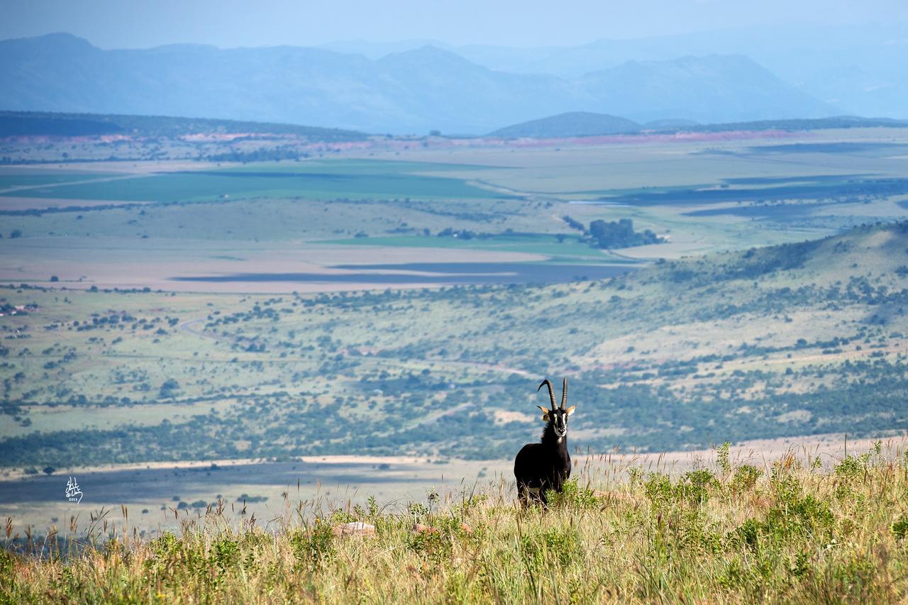 Mount High Luxury Country Estate Villa Lydenburg Exterior foto
